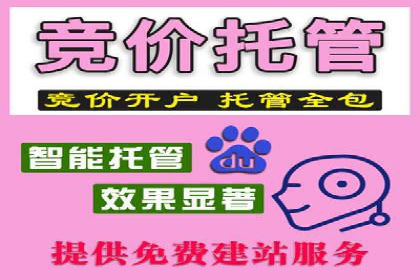 揭秘SEM代运营机构：实战案例分享